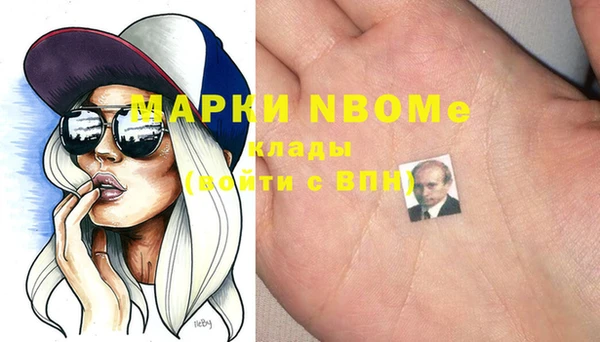 хмурый Алексин