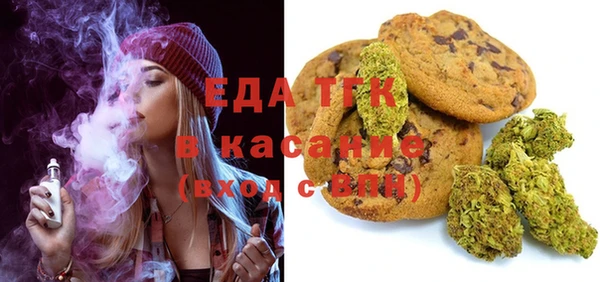 хмурый Алексин