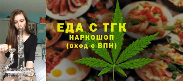 хмурый Алексин
