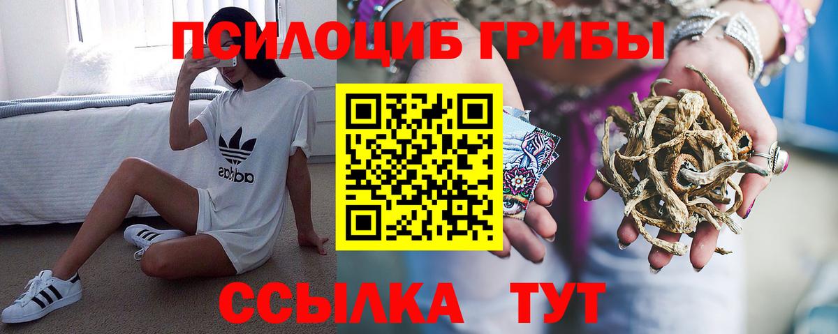 Псилоцибиновые грибы мухоморы  Псилоцибиновые грибы Psilocybe  Чапаевск  Вход с VPN 