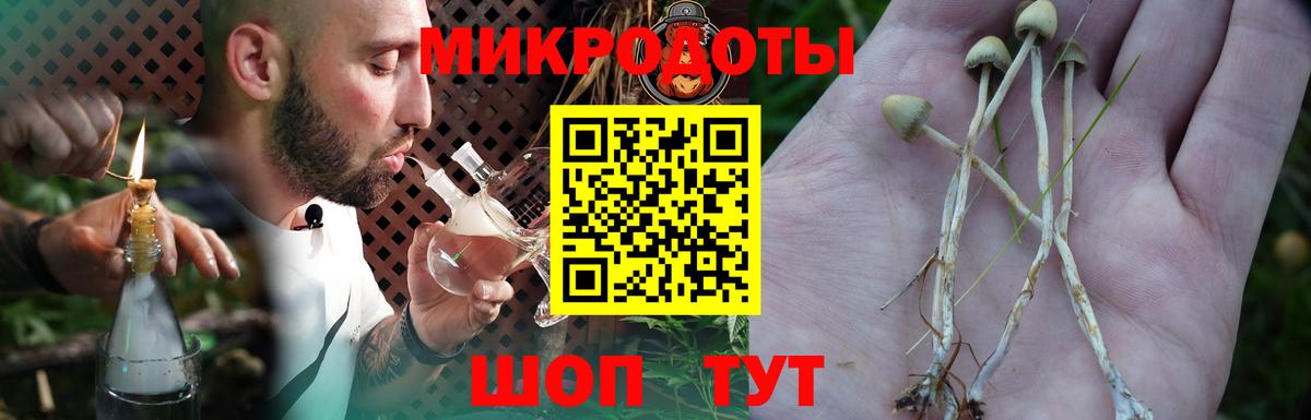 Галлюциногенные грибы прущие грибы Чапаевск